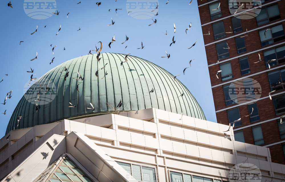 New York-Iran US Israel