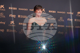 Spain Goya Awards Arrivals
