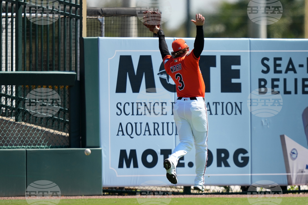 Braves Orioles Spring Baseball