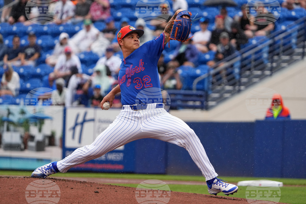 Nationals Mets Spring Baseball