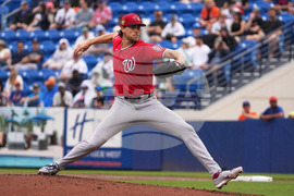 Nationals Mets Spring Baseball