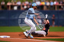 Tigers Rays Spring Baseball