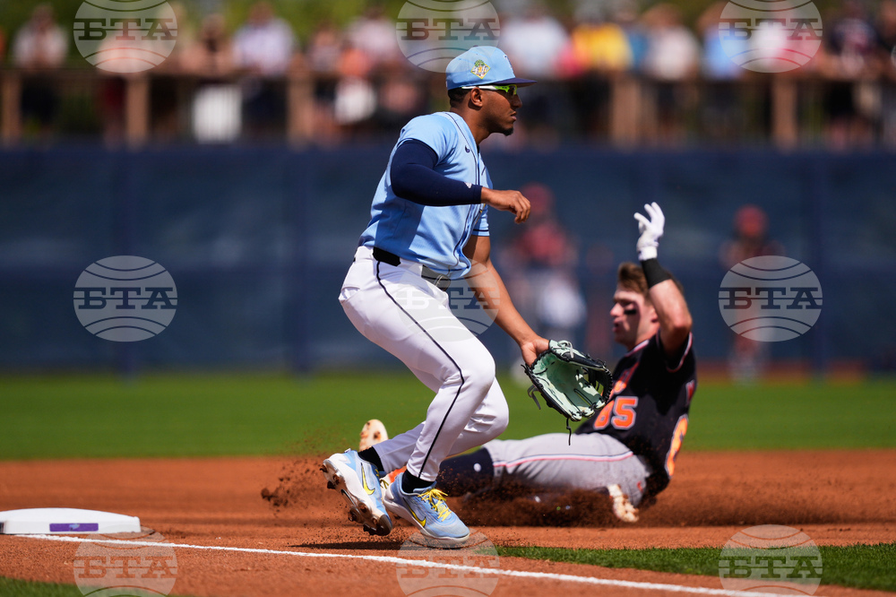 Tigers Rays Spring Baseball