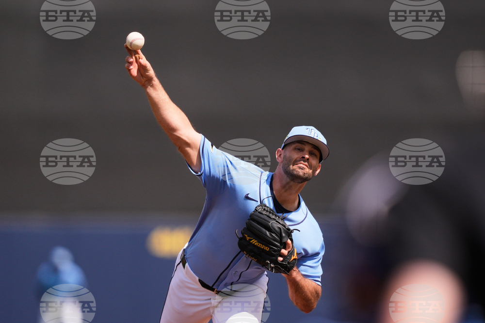 Tigers Rays Spring Baseball
