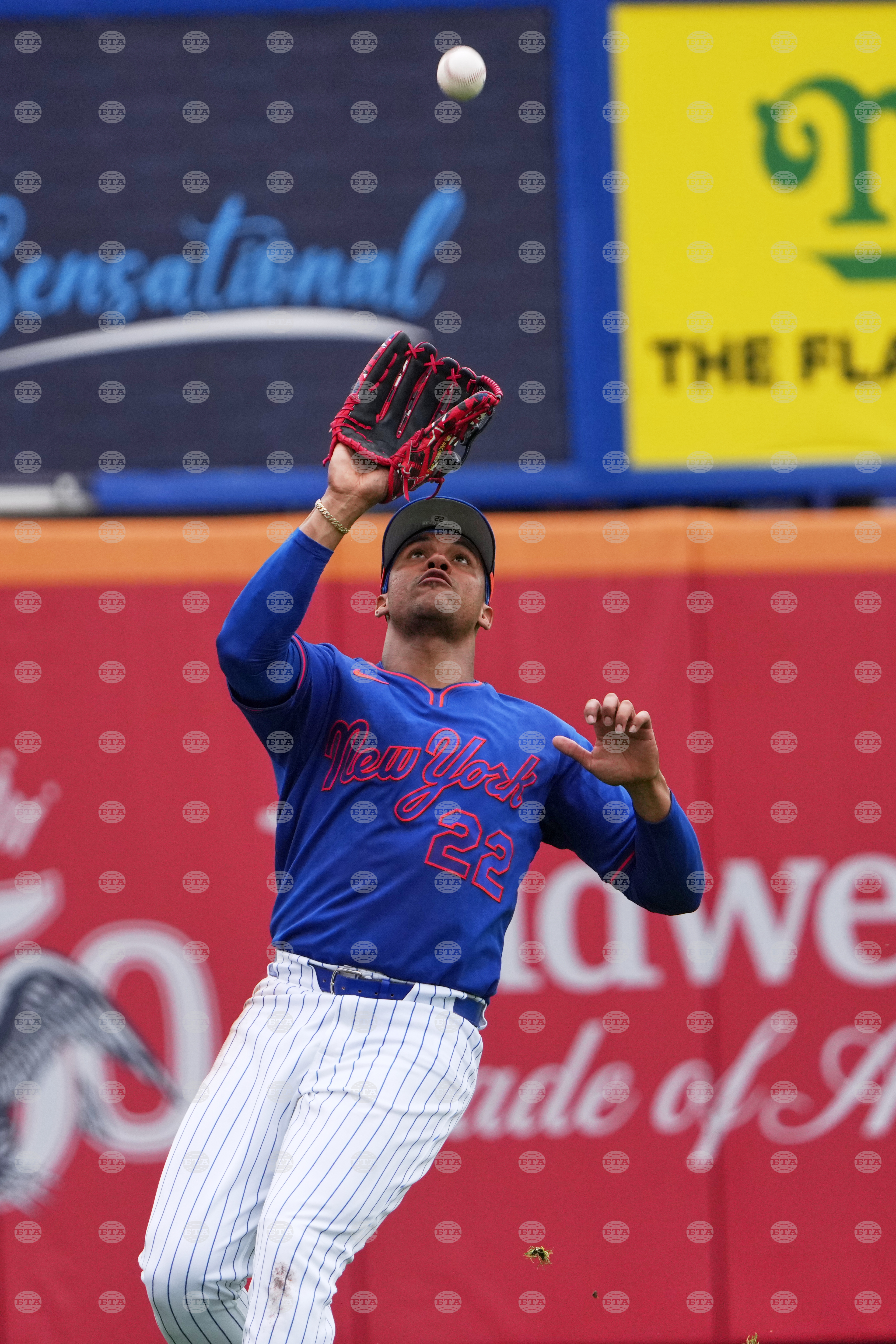 Nationals Mets Spring Baseball