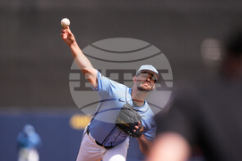 Tigers Rays Spring Baseball