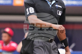 Nationals Mets Spring Baseball