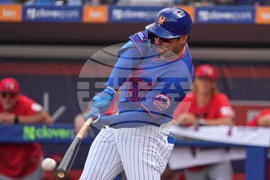 Nationals Mets Spring Baseball