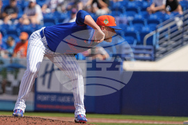 Nationals Mets Spring Baseball