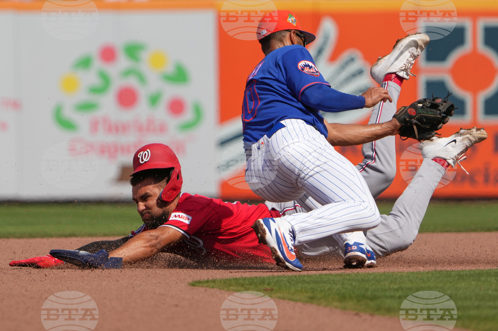 Nationals Mets Spring Baseball