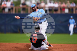 Tigers Rays Spring Baseball