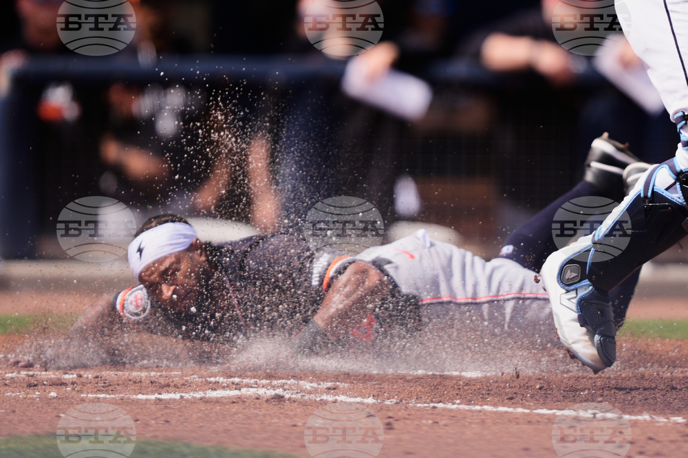 Tigers Rays Spring Baseball