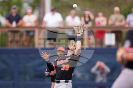 Tigers Rays Spring Baseball