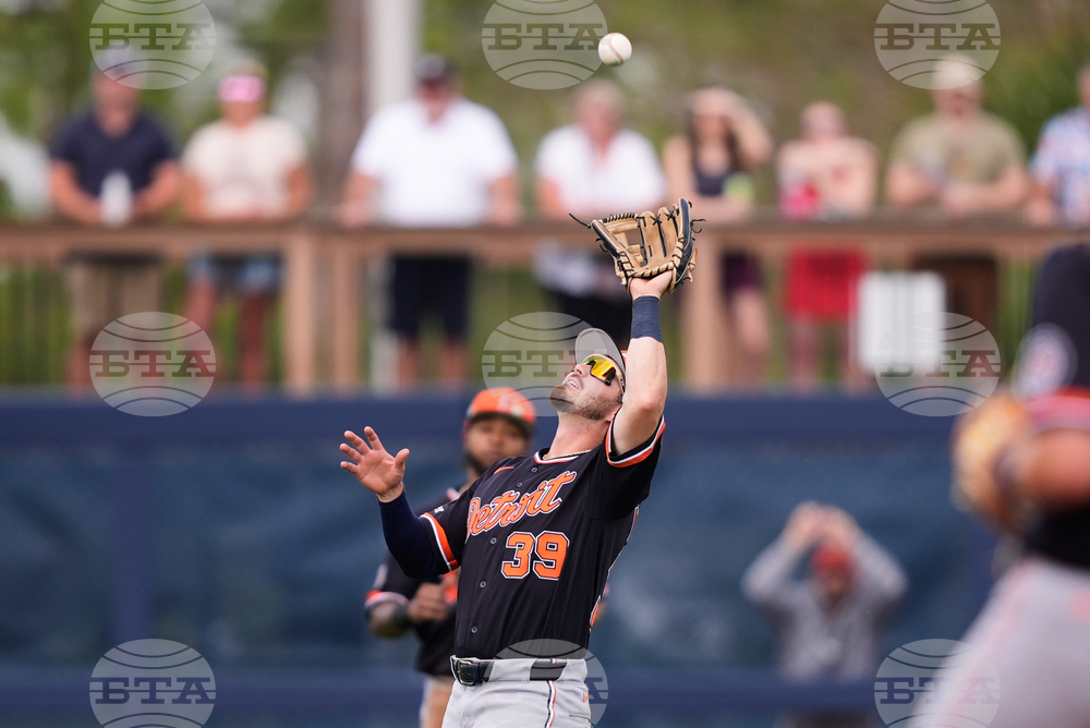 Tigers Rays Spring Baseball
