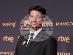 Spain Goya Awards Arrivals
