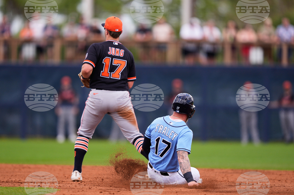 Tigers Rays Spring Baseball