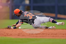 Tigers Rays Spring Baseball