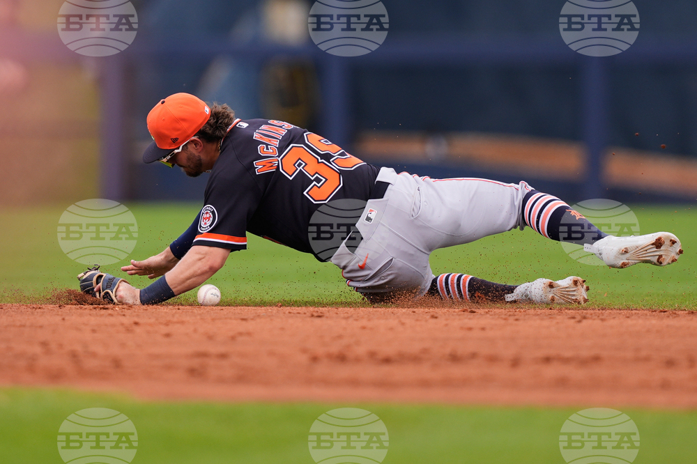 Tigers Rays Spring Baseball