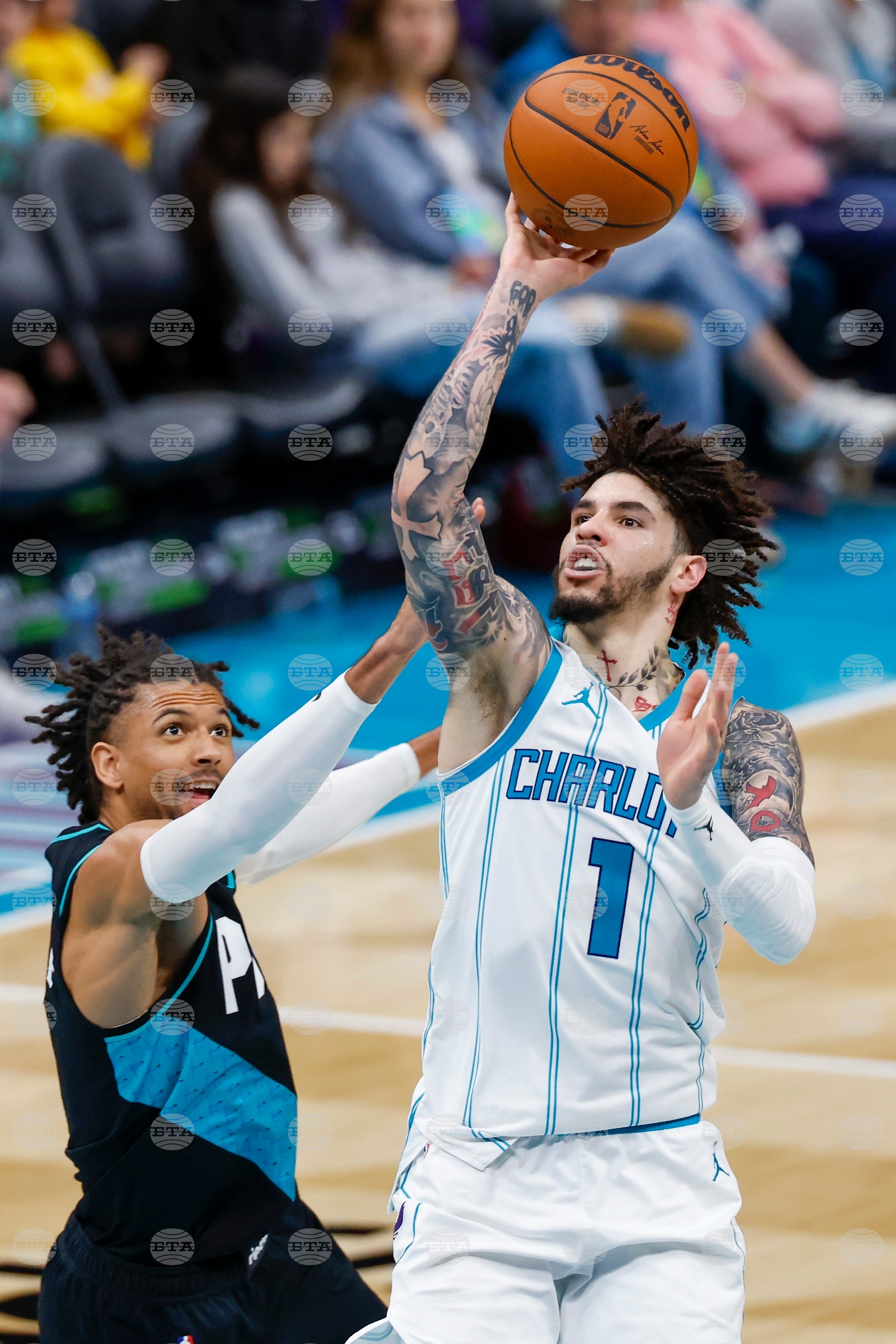 Trailblazers Hornets Basketball