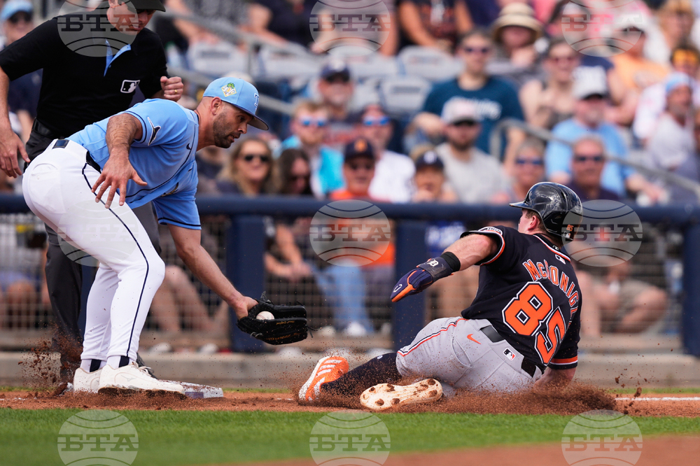 Tigers Rays Spring Baseball