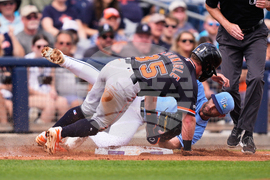 Tigers Rays Spring Baseball