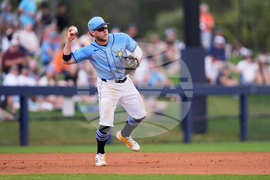 Tigers Rays Spring Baseball