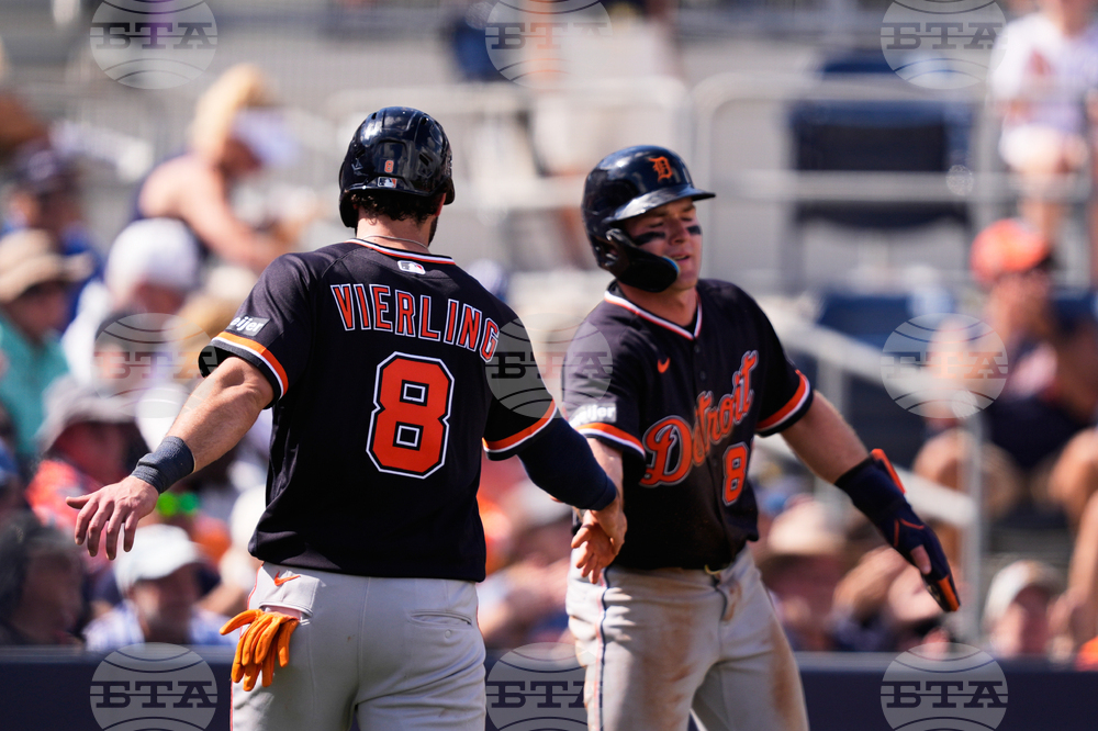 Tigers Rays Spring Baseball