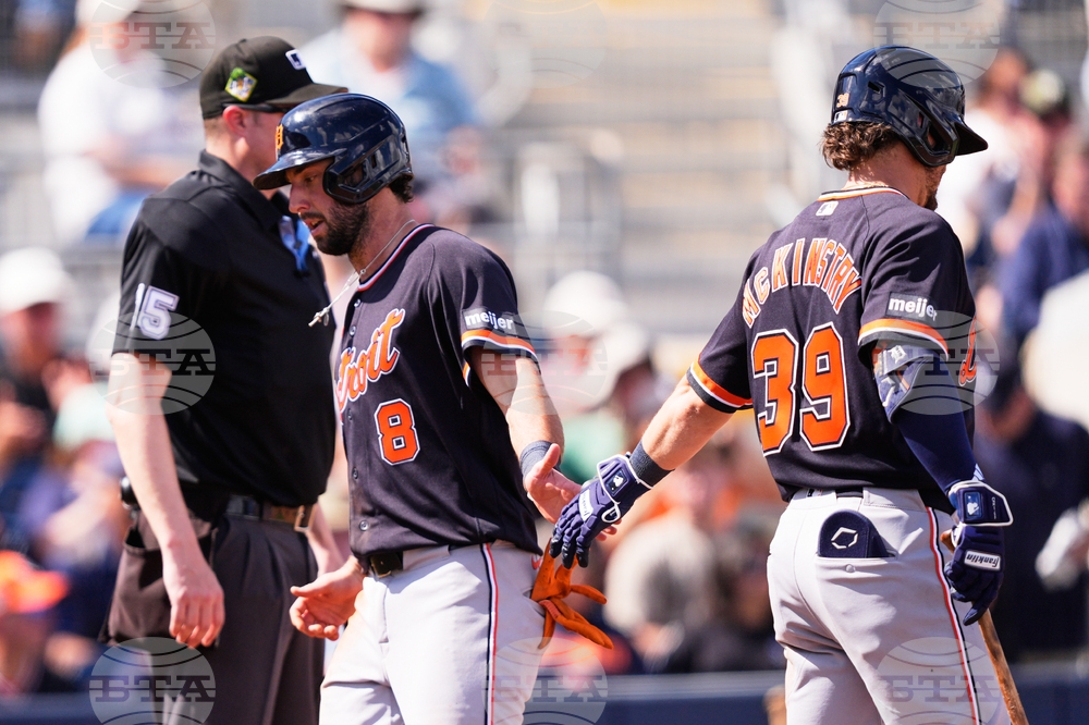 Tigers Rays Spring Baseball