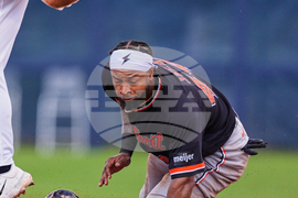 APTOPIX Tigers Rays Spring Baseball