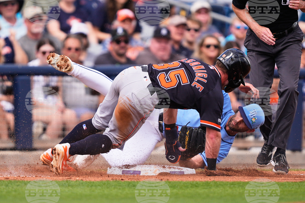 APTOPIX Tigers Rays Spring Baseball