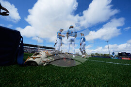 Tigers Rays Spring Baseball