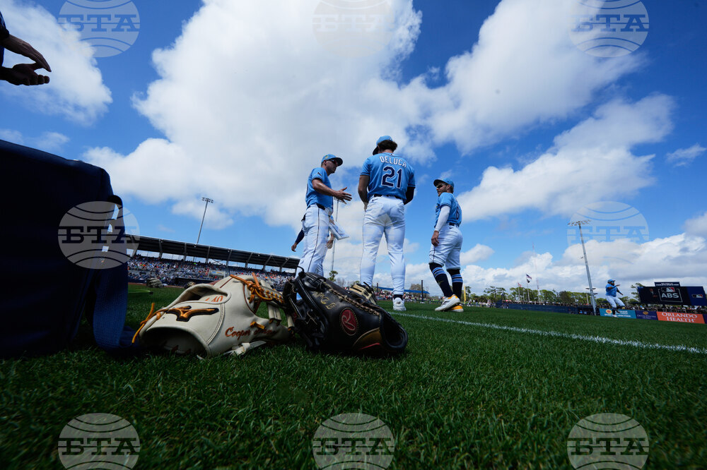 Tigers Rays Spring Baseball