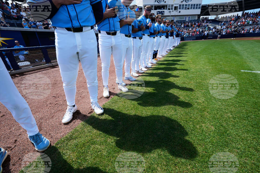 Tigers Rays Spring Baseball