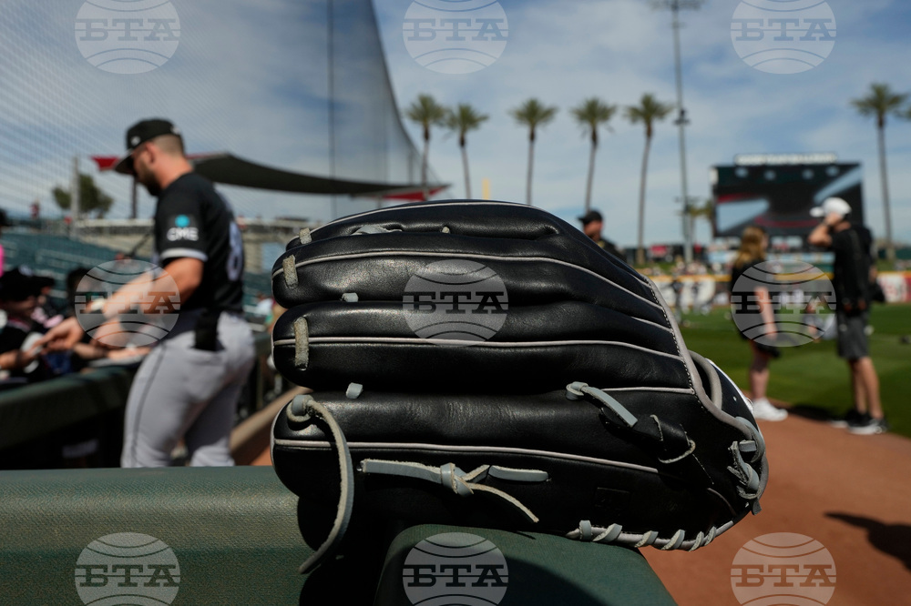 White Sox Guardians Spring Baseball