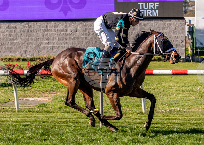 Fair Grounds Horse Racing