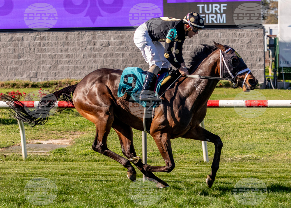 Fair Grounds Horse Racing