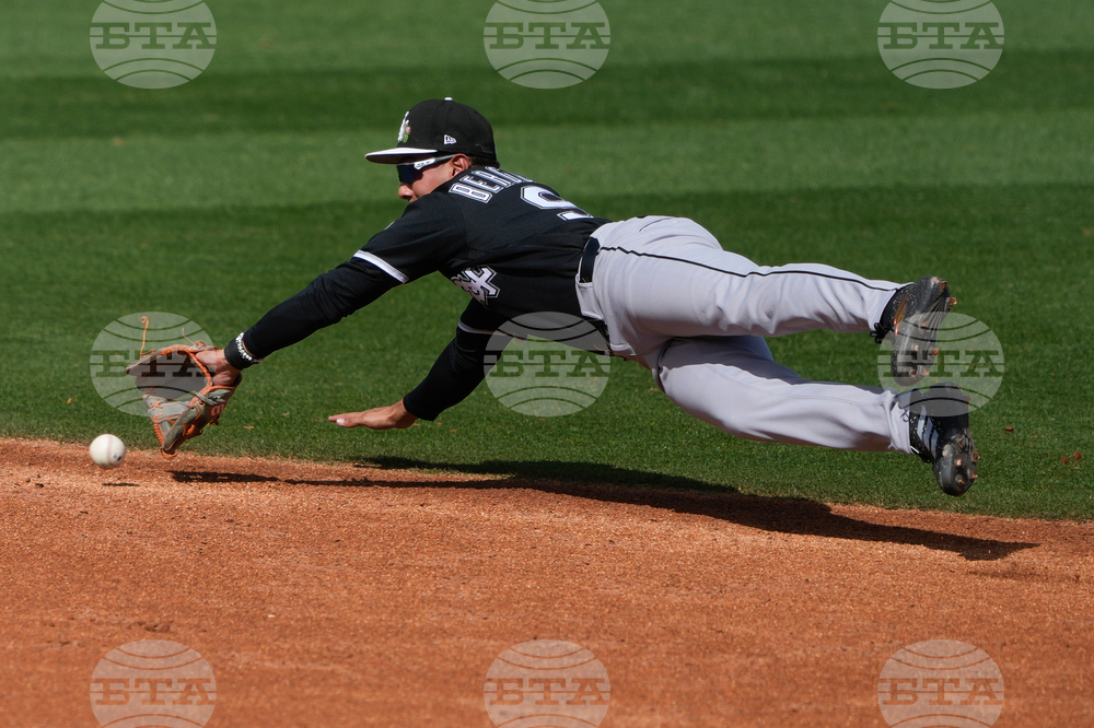 White Sox Guardians Spring Baseball