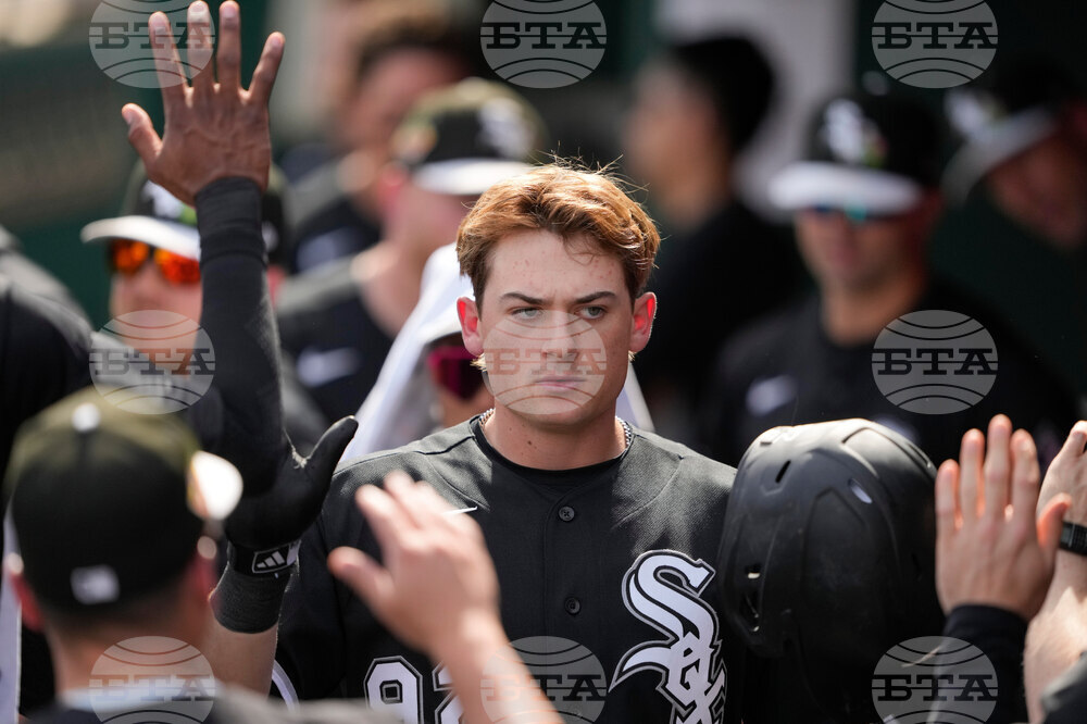 White Sox Guardians Spring Baseball