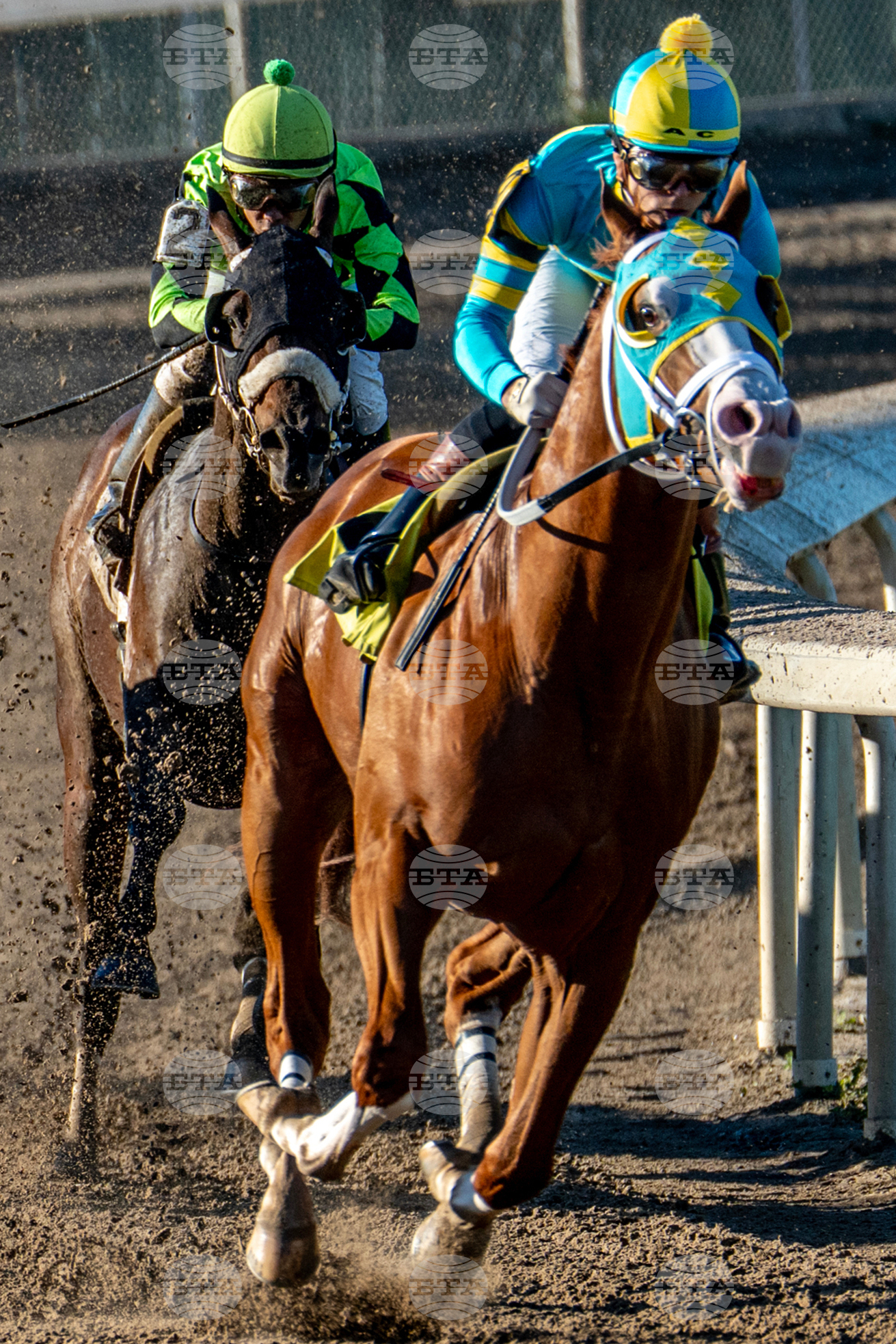 Fair Grounds Horse Racing