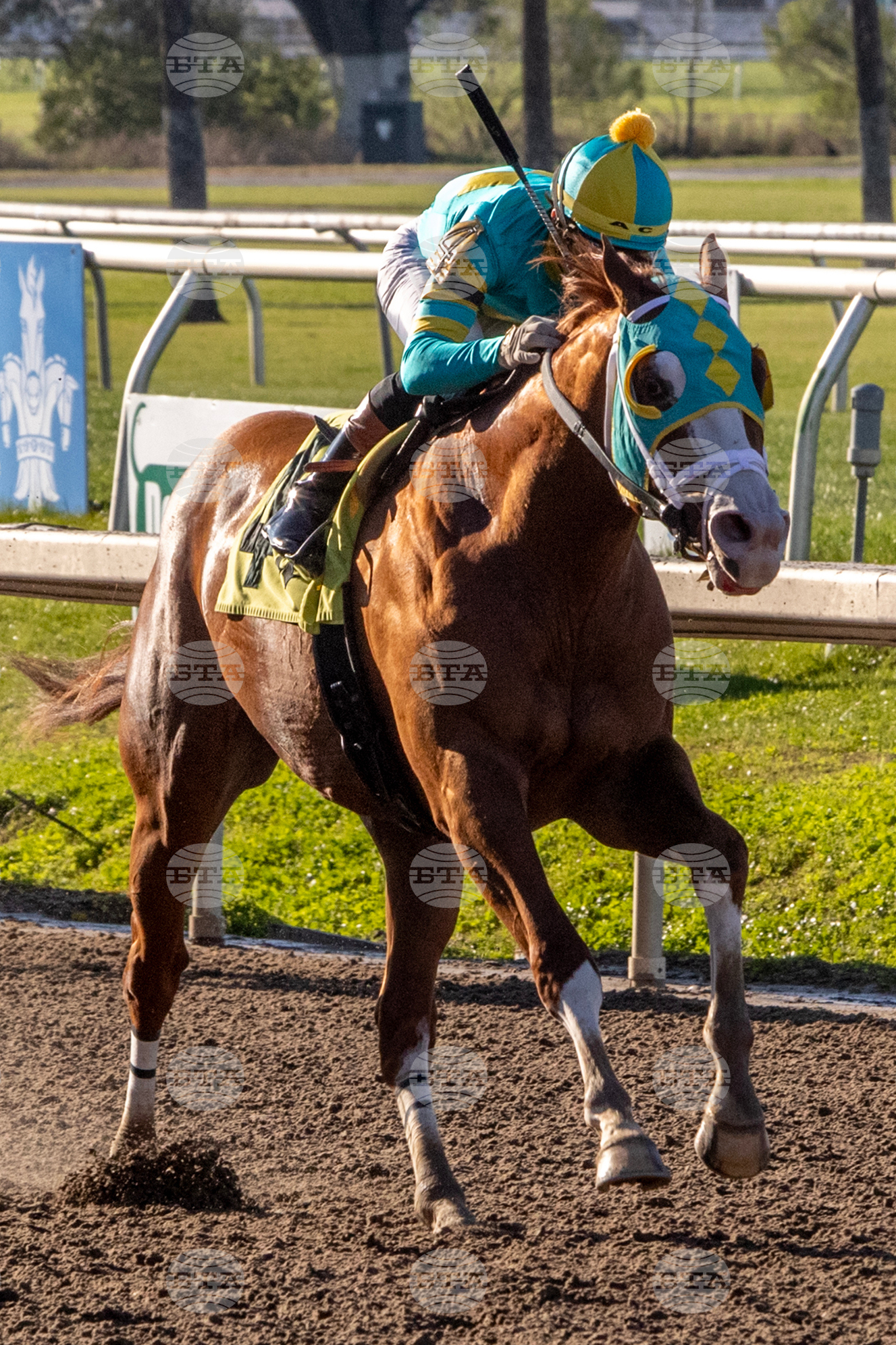 Fair Grounds Horse Racing