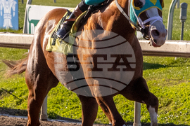 Fair Grounds Horse Racing
