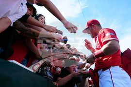 Diamondbacks Angels Spring Baseball