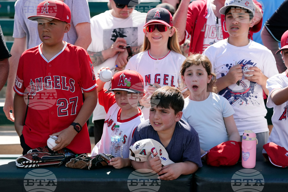 Diamondbacks Angels Spring Baseball