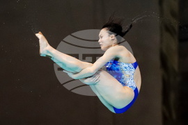 Canada World Cup Diving