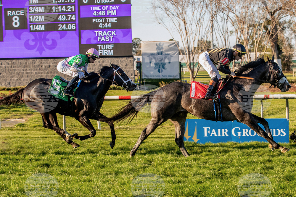 Fair Grounds Horse Racing