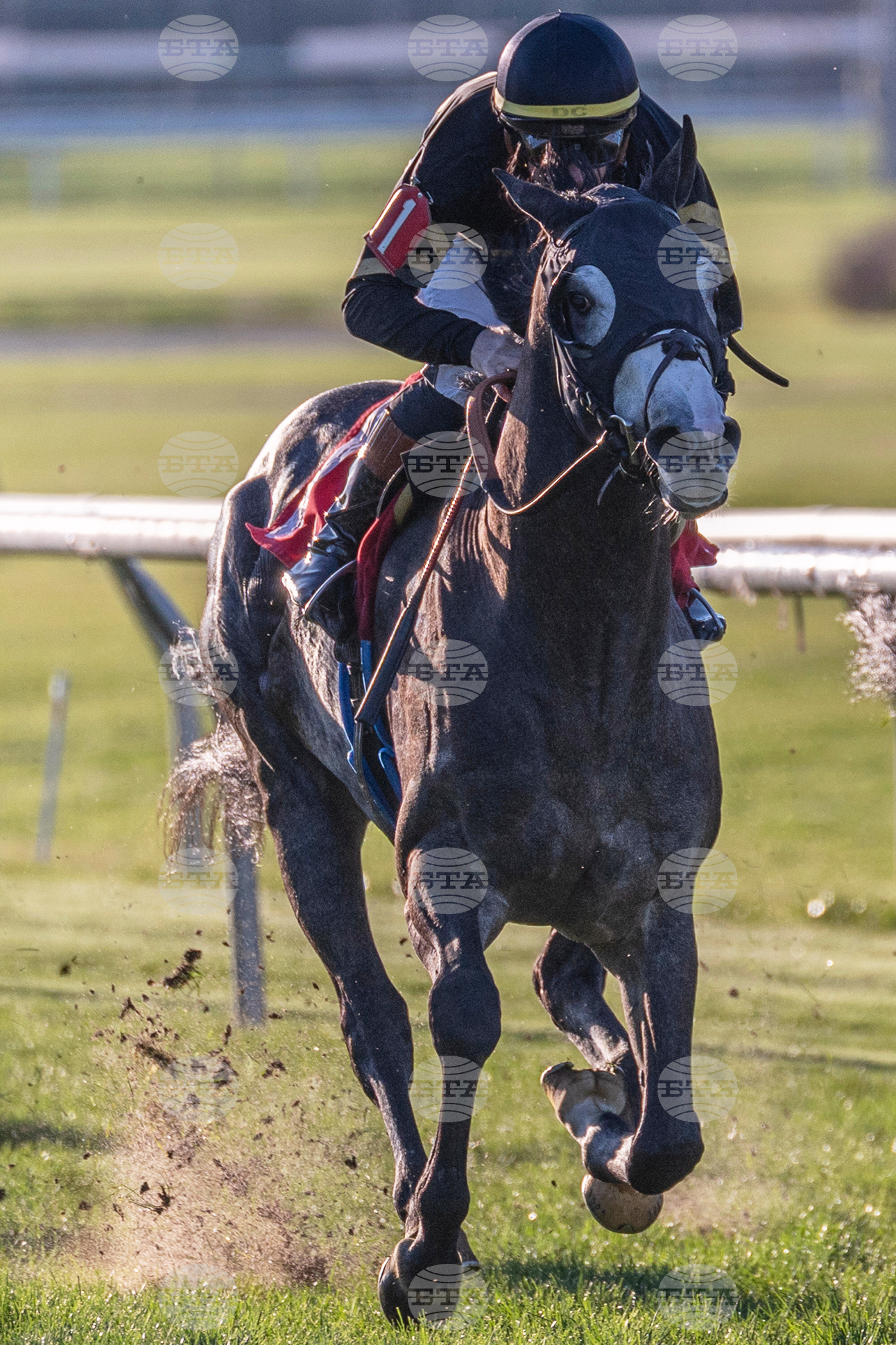 Fair Grounds Horse Racing