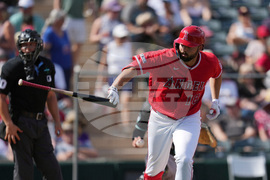 Diamondbacks Angels Spring Baseball