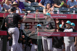 Diamondbacks Angels Spring Baseball