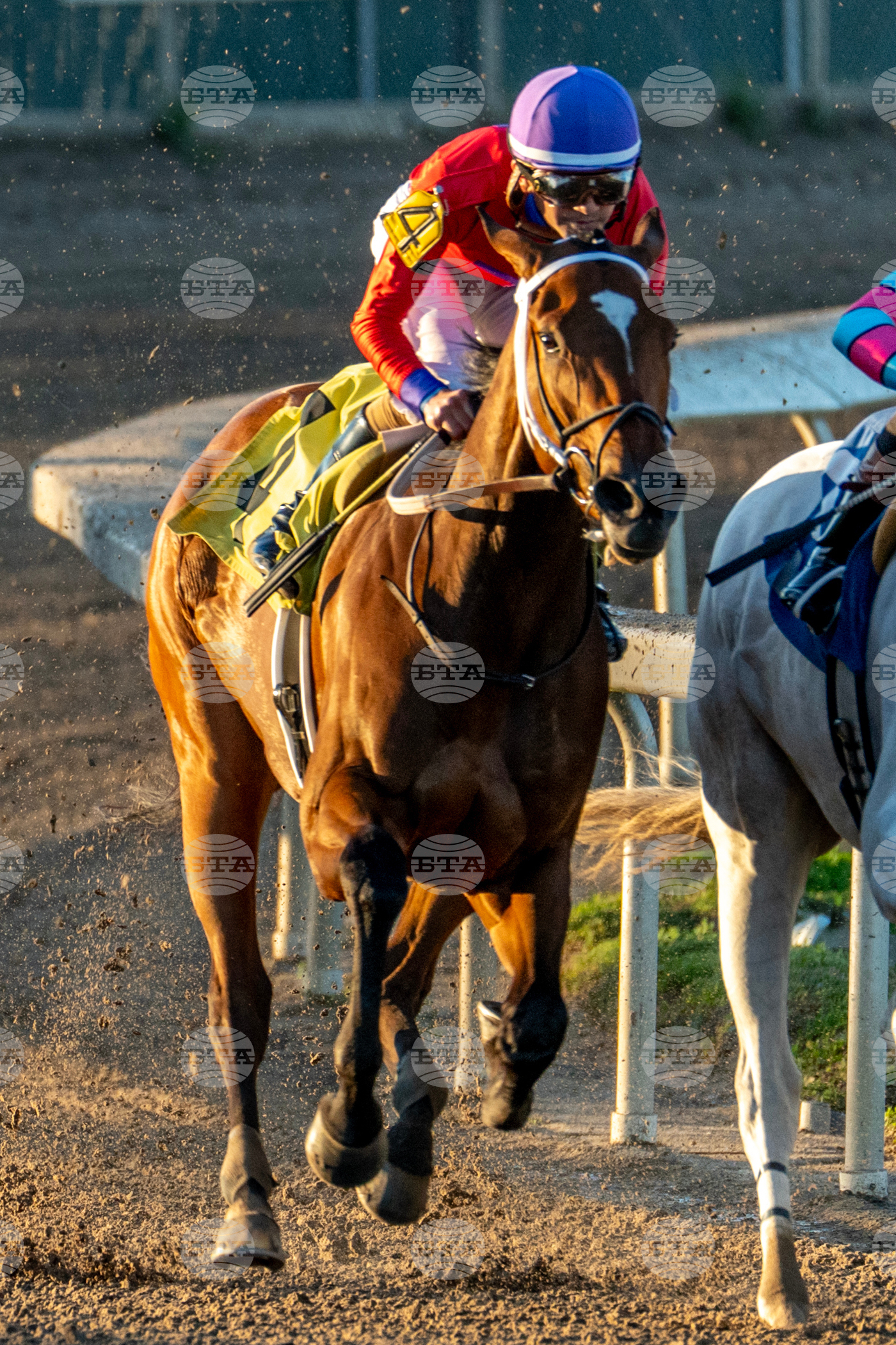 Fair Grounds Horse Racing