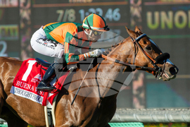 Santa Anita Horse Racing